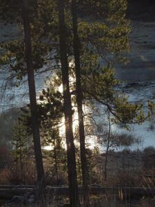 sun on the ice at Ginty Creek