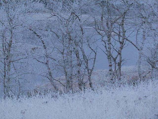 frost in Walker island