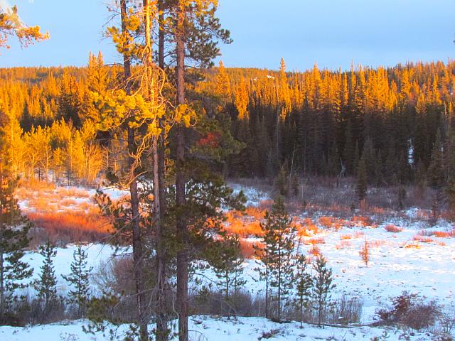 evening at Ginty Creek