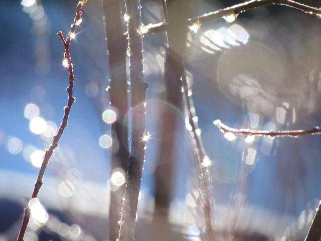 abstract ice drops at Ginty Creek