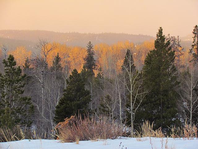 orange morning at Ginty Creek