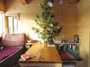 solstice tree at Ginty Creek