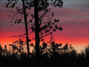 sunrise at Ginty Creek