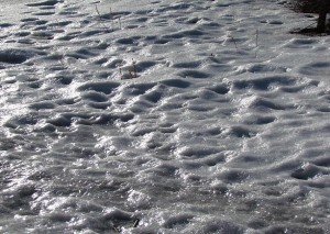 ice at Ginty Creek