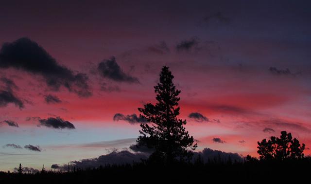 northern sky at Ginty Creek