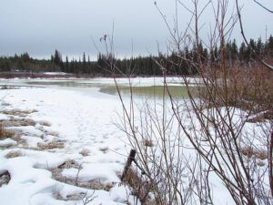 Ginty Creek thaw