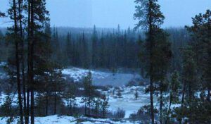 winter rain at Ginty Creek