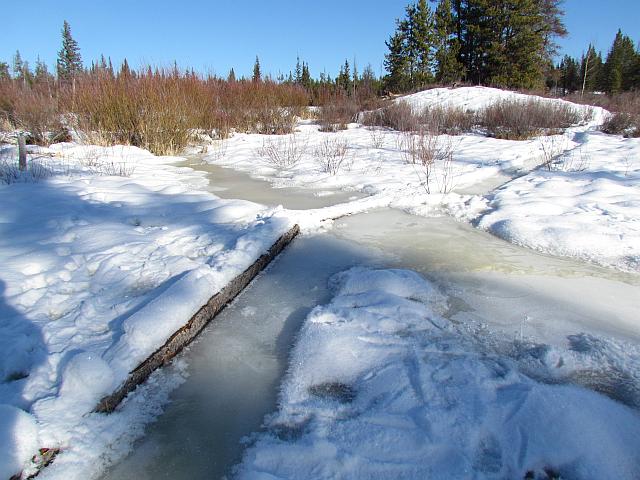 boardwalk at Ginty Creek