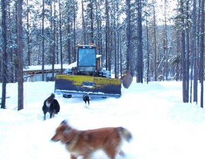 ploughing my road at Ginty Creek