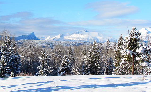 sun and fresh snow at Ginty Creek