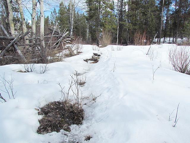 trail thawing at Ginty Creek