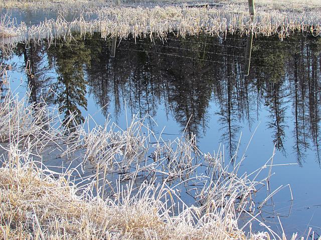 Chilcotin frost