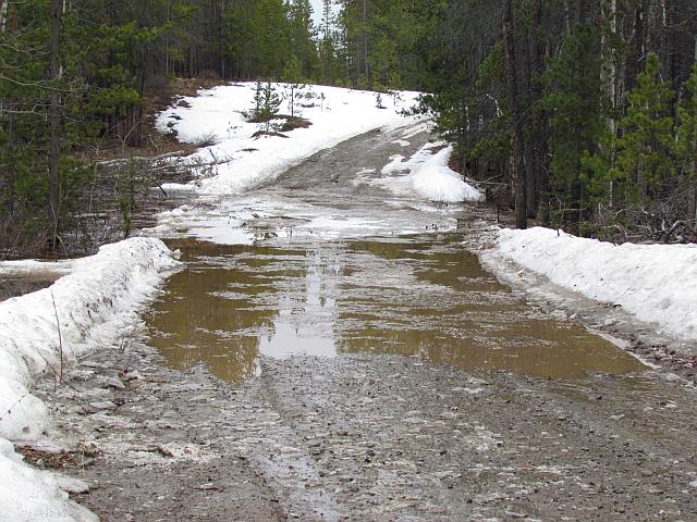 puddle on the telegraph road