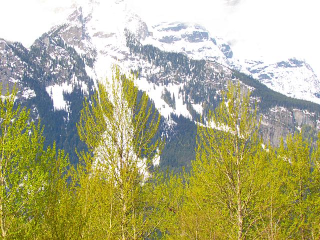 spring green at the bottom of The Hill.