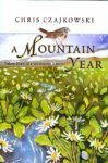 a-mountain-year-cover