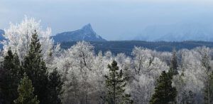 finger peak with backlit frost