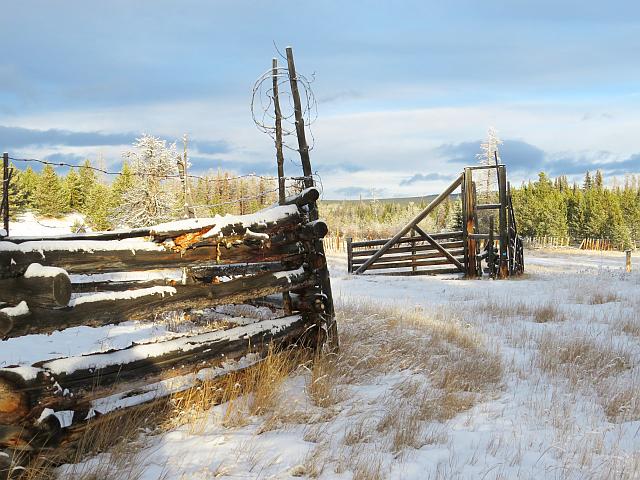 coil of barbed wire on fence