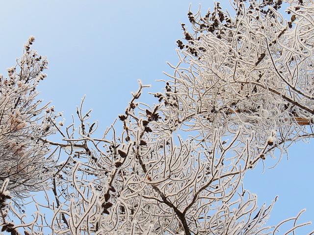 cones and crystals