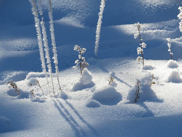 ice landscape backlit