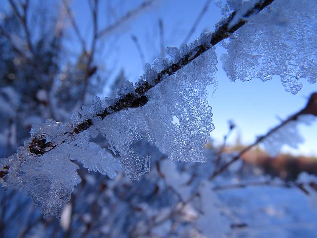 crystals hanging