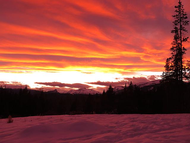 pink snow