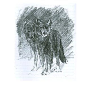 Wolves from Wildfire