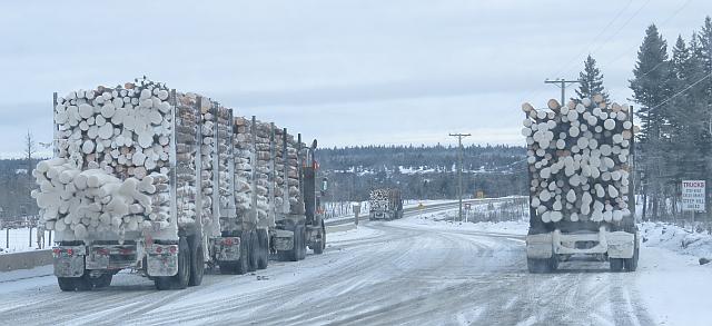 Chilcotin logging trucks