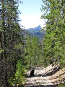 Towards Finger Peak