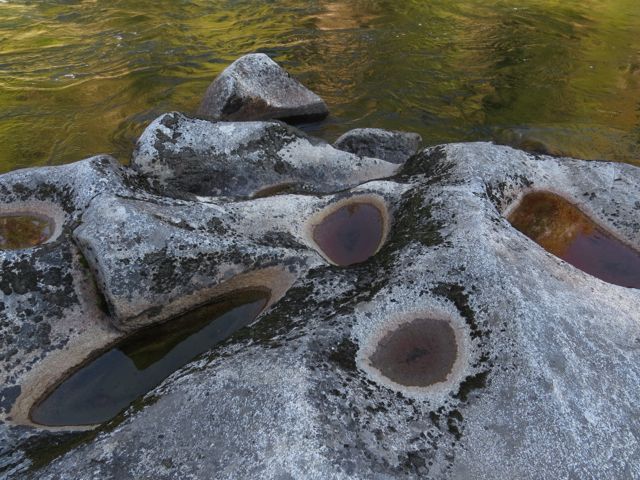 rook pools on the Atnarko River