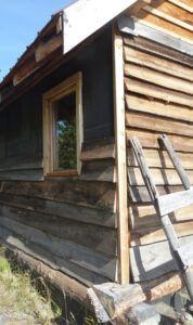 cabin siding