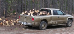 1a firewood IMG_4491