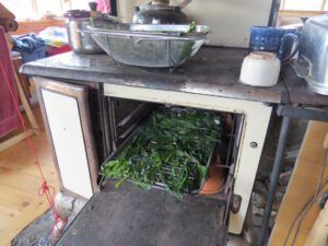 7. kale in oven
