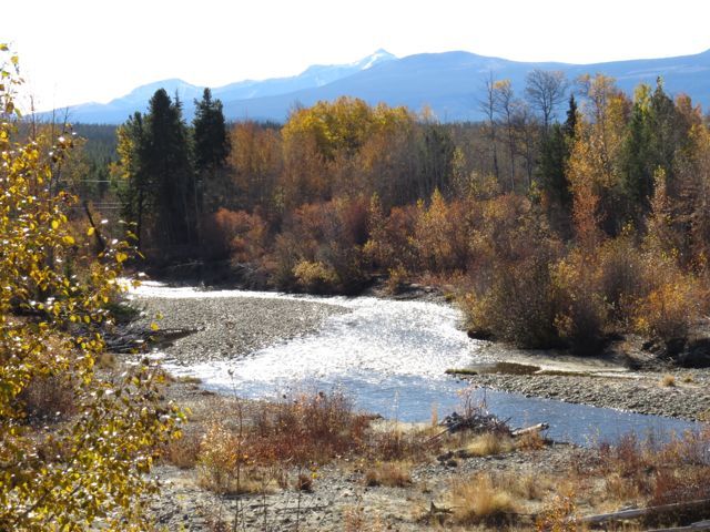 river and late fall colours