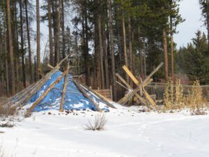 8. manure in garden