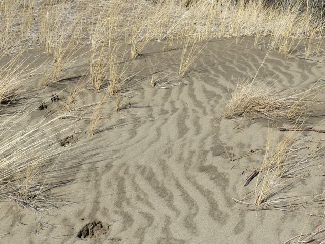 11 sand patterns