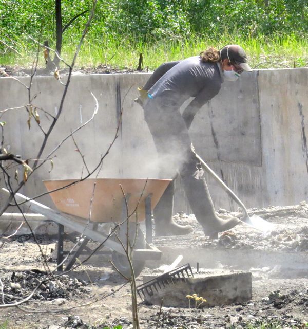 2 Danielle shovelling ash