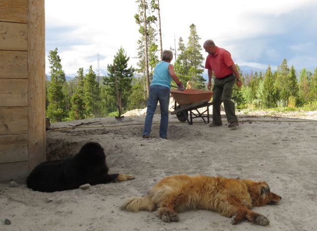 1 visitors digging