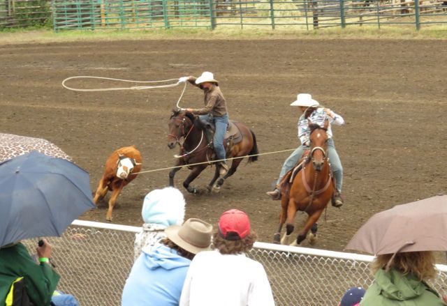 10 double calf roping