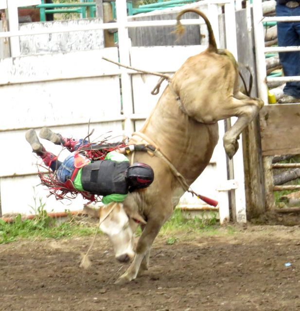 11 junior steer riding 1