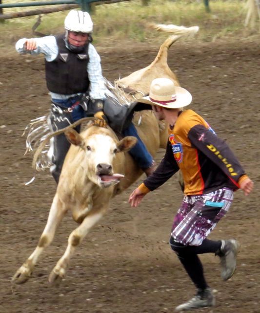 12 junior steer riding 2