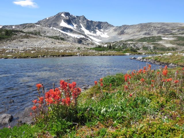 paintbrush and Anvil Mt