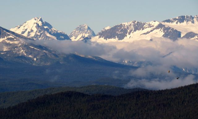 Top of the Bella Coola Hill