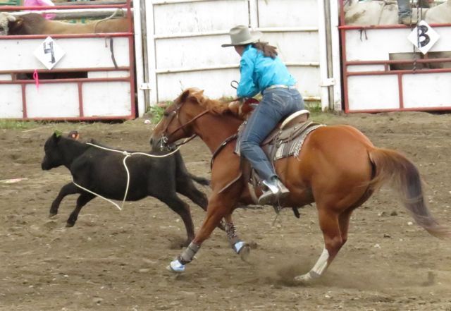 8a calf roping, lassoo