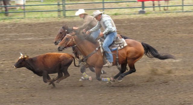 9 double calf roping 1