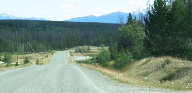 2 roadside grass