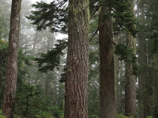 garibaldi park