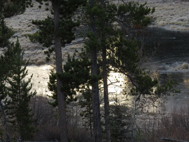 frozen pond at ginty creek