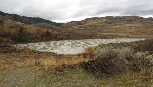 12 spotted lake