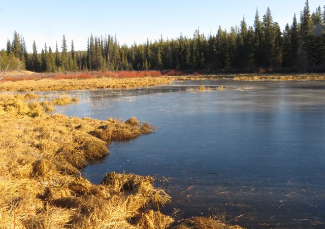 6 frozen pond