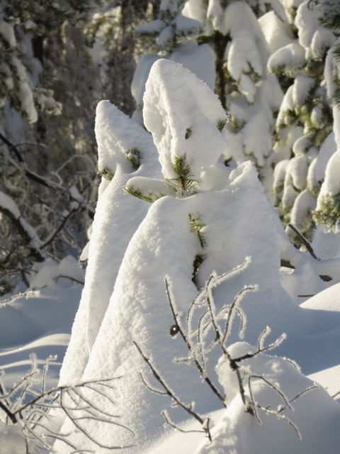 1a snow people pointing